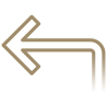 seta_01 seta_01