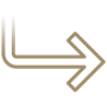 seta_02 seta_02